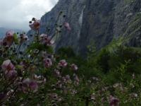 43022CrLe - Trummelbach Falls, Interlaken  Peter Rhebergen - Each New Day a Miracle